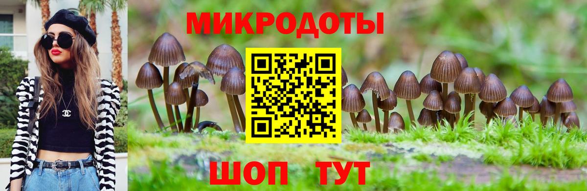 Псилоцибиновые грибы Psilocybe  Вход с VPN  Липецк 